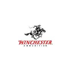 WINCHESTER - Winchester Ammo 22 Hornet 46gr H SX HollowPt