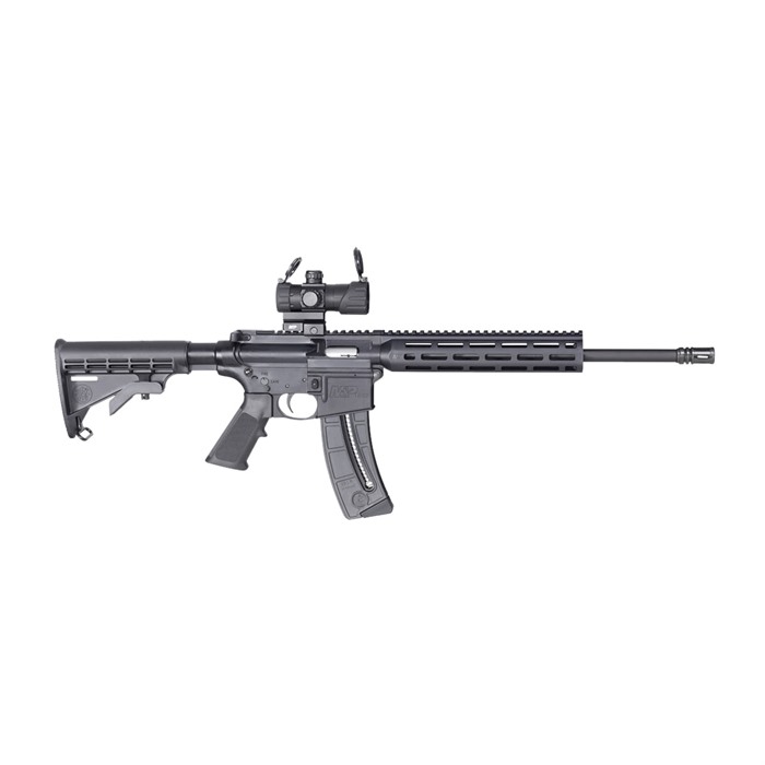 SMITH & WESSON - M&P15 SPORT 22LR W/RED-GREEN DOT OPTIC