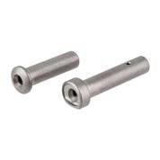 2A ARMAMENT - AR-15 TAKEDOWN PINS TITANIUM