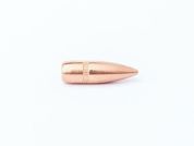 CAMPRO - CAMPRO 22 CALIBER (0.224") BULLETS